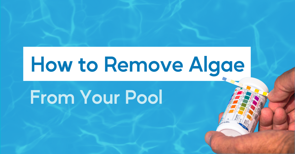 How to Remove Algae From Your Pool